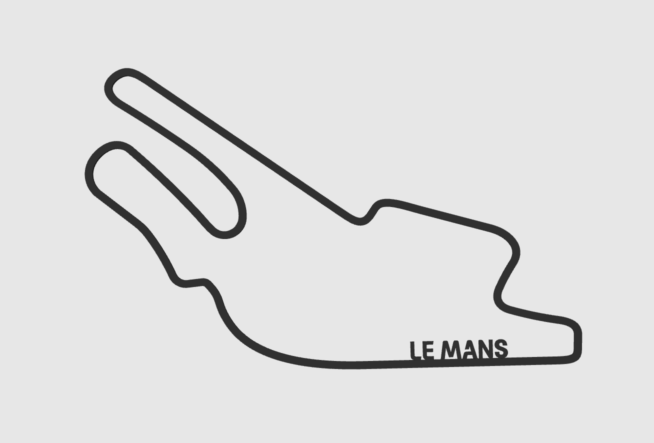 zoom_lemans_circuit_3d_printed
